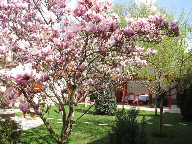 فيلا Szegfu Apartman Hajdúszoboszló المظهر الخارجي الصورة